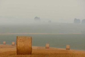 丝瓜聊天电脑版怎么下载?