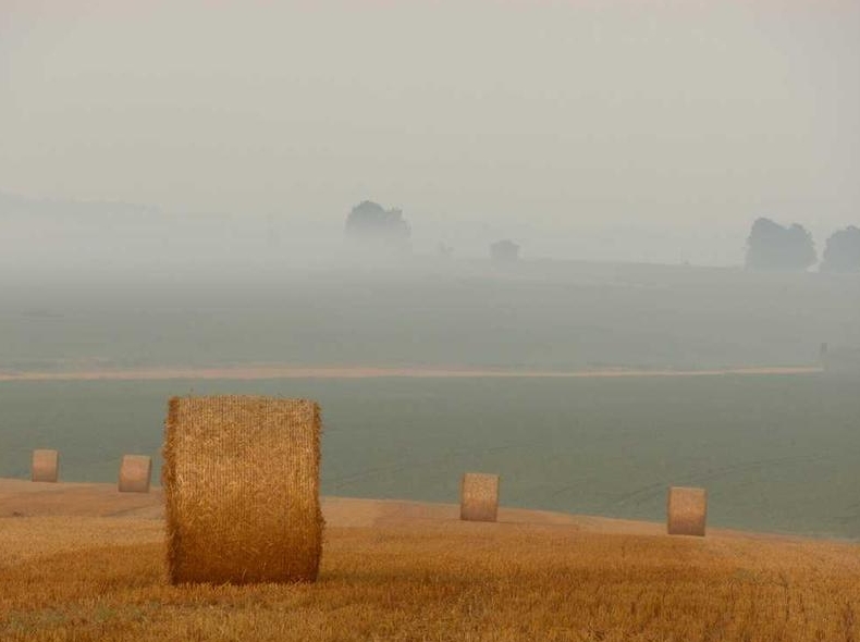 丝瓜聊天电脑版怎么下载?